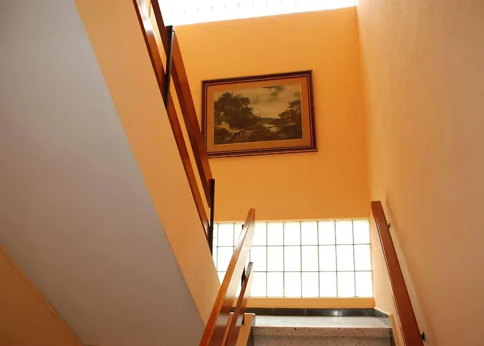 酒店 奥林匹亚酒店 大加那利岛拉斯帕尔马斯